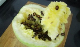 兰州籽瓜可以免费吃吗,免费品尝的夏日美味诱惑